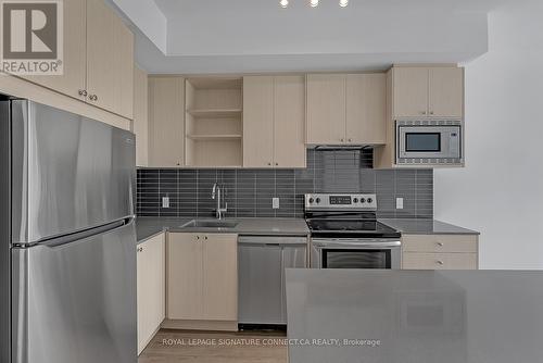 111 - 60 George Butchart Drive, Toronto (Downsview-Roding-Cfb), ON - Indoor Photo Showing Kitchen With Upgraded Kitchen