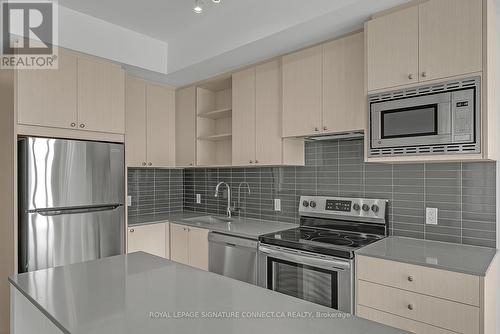 111 - 60 George Butchart Drive, Toronto (Downsview-Roding-Cfb), ON - Indoor Photo Showing Kitchen With Upgraded Kitchen