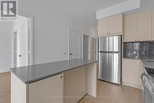 111 - 60 George Butchart Drive, Toronto (Downsview-Roding-Cfb), ON - Indoor Photo Showing Kitchen