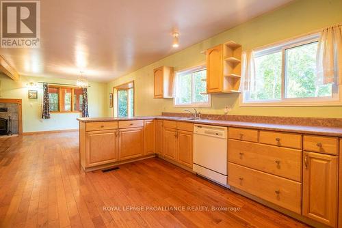 1141C Grindstone Lake Road, North Frontenac, ON - Indoor Photo Showing Kitchen With Fireplace With Double Sink