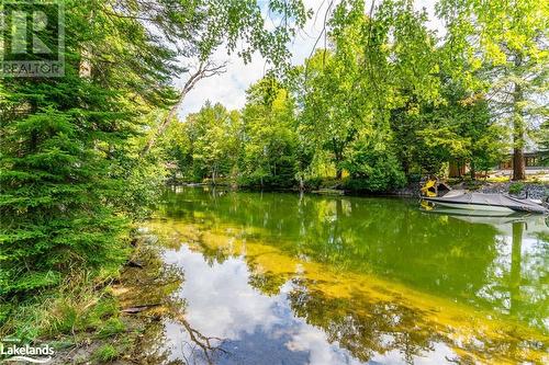 Gull River - 1117 Mistivale Road, Minden, ON - Outdoor