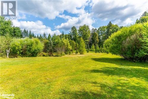 1117 Mistivale Road, Minden, ON - Outdoor With View