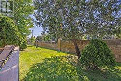 Greenspace with mature trees in back of condo - 