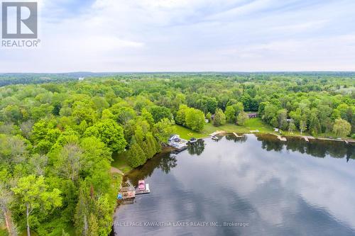 24 South Fork Drive, Kawartha Lakes (Coboconk), ON - Outdoor With Body Of Water With View