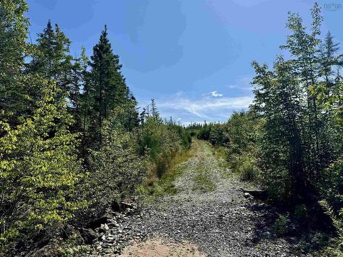 95 Acres West Bay Highway, Cape George, NS 