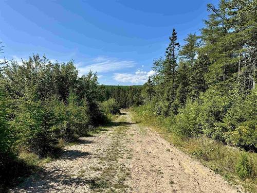 95 Acres West Bay Highway, Cape George, NS 