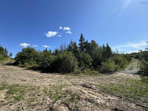 95 Acres West Bay Highway, Cape George, NS 