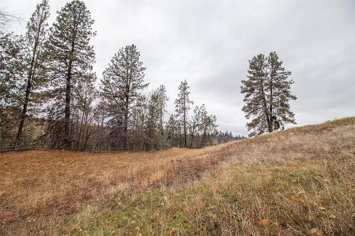 2863 Belgo Road, Kelowna, BC - Outdoor With View