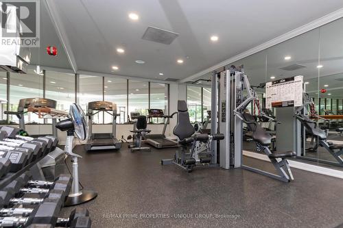 301 - 22 Clarissa Drive, Richmond Hill, ON - Indoor Photo Showing Gym Room