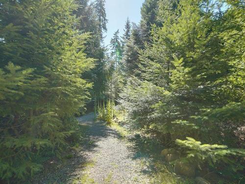 Lot 2 Willow Rd, Port Alberni, BC 