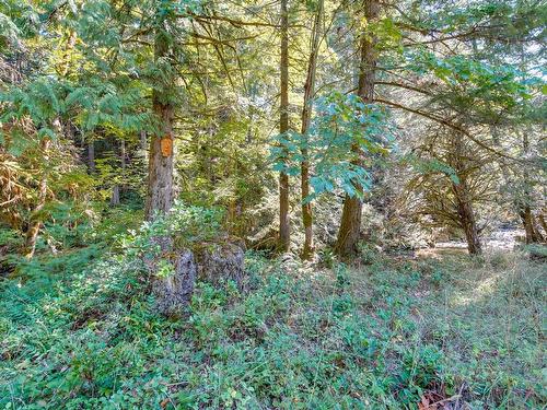 Lot 2 Willow Rd, Port Alberni, BC 