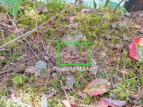 Lot 2 Willow Rd, Port Alberni, BC 