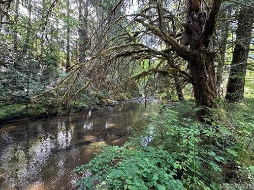 Lot 2 Willow Rd, Port Alberni, BC 