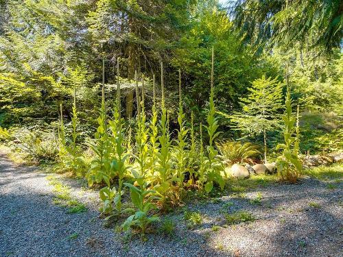 Lot 2 Willow Rd, Port Alberni, BC 