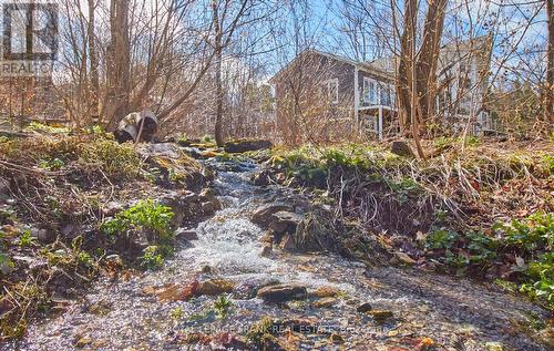 2269 Mccracken'S Landing Road, Douro-Dummer, ON - Outdoor With View