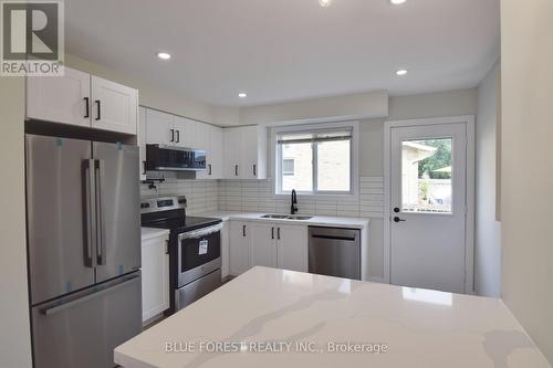 1048 Mahogany Road, London, ON - Indoor Photo Showing Kitchen With Stainless Steel Kitchen With Double Sink With Upgraded Kitchen