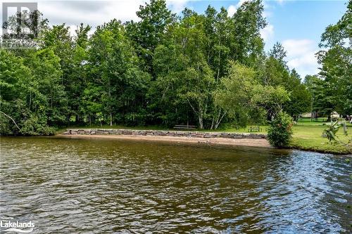 Hillside Beach - 1018 Tally Ho Winter Park Road, Lake Of Bays (Twp), ON 