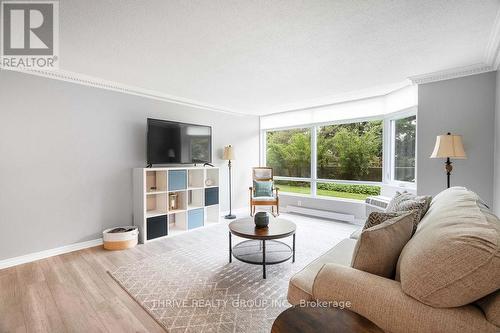 115 - 45 Pond Mills Road, London, ON - Indoor Photo Showing Living Room