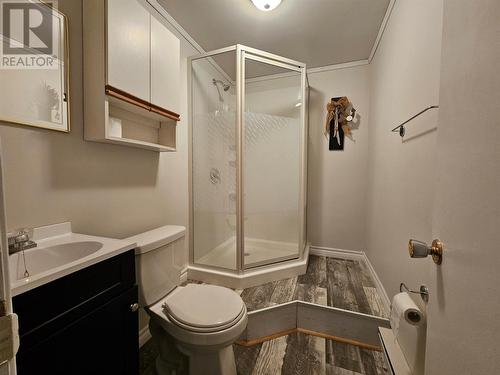 92-94 Marine Drive, Marystown, NL - Indoor Photo Showing Bathroom