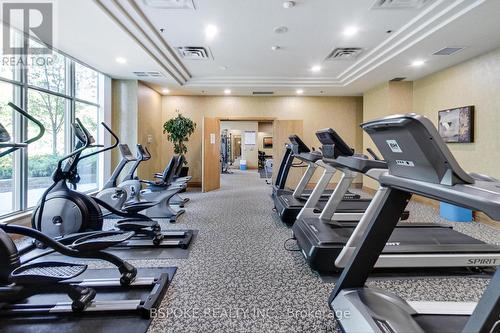 Ph9 - 5500 Yonge Street, Toronto (Willowdale West), ON - Indoor Photo Showing Gym Room