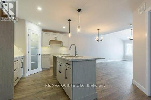 59 Sandhu Crescent, Belleville, ON - Indoor Photo Showing Kitchen With Upgraded Kitchen