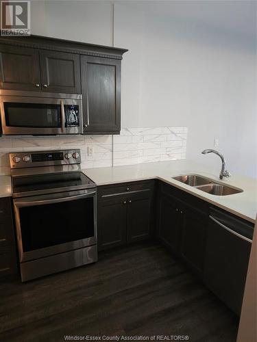 1501-03 Elsmere Avenue, Windsor, ON - Indoor Photo Showing Kitchen With Double Sink