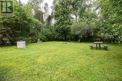 Backyard picnic area - 