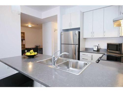 5317 Upper Middle Road|Unit #331, Burlington, ON - Indoor Photo Showing Kitchen With Double Sink