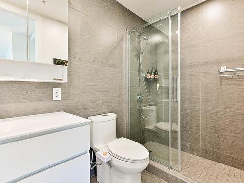 Bathroom - 506-295 Rue Riverside, Saint-Lambert, QC 