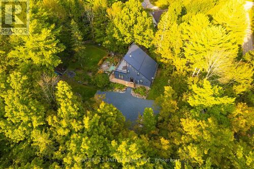 66 Pine Grove Road, Trent Hills, ON - Outdoor With Body Of Water With View