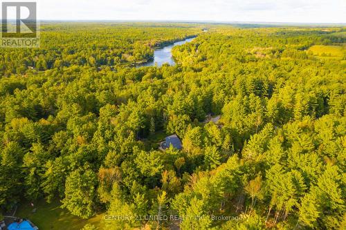 66 Pine Grove Road, Trent Hills, ON - Outdoor With View