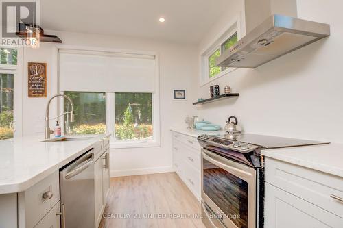 66 Pine Grove Road, Trent Hills, ON - Indoor Photo Showing Kitchen With Upgraded Kitchen