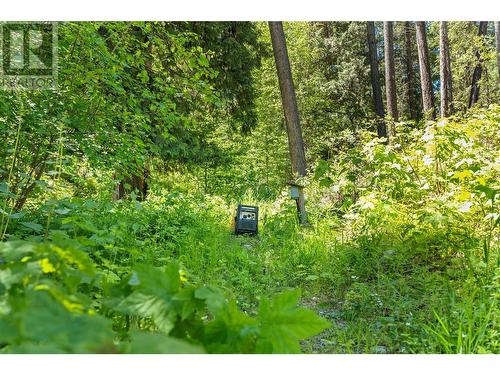 5950 Crouse Creek Forest, Westbridge, BC - Outdoor