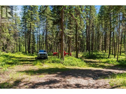 5950 Crouse Creek Forest, Westbridge, BC - Outdoor With View