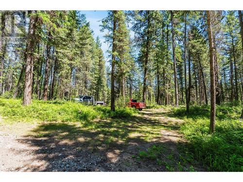 5950 Crouse Creek Forest, Westbridge, BC - Outdoor With View