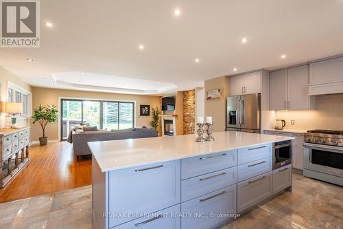 399 Old Brock Road, Hamilton, ON - Indoor Photo Showing Kitchen With Upgraded Kitchen