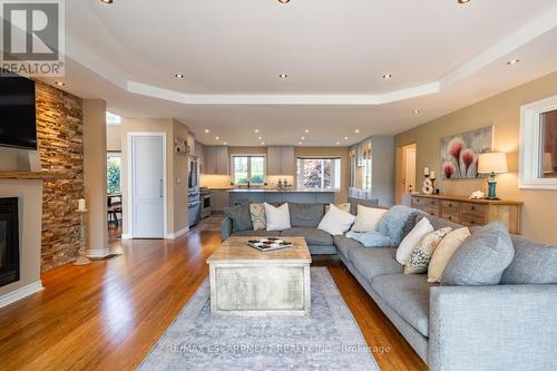 399 Old Brock Road, Hamilton, ON - Indoor Photo Showing Living Room With Fireplace