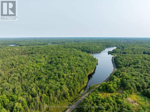 32 Bunny Trail, Mcdougall, ON - Outdoor With View