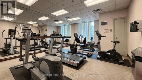 508 - 39 Pemberton Avenue E, Toronto (Newtonbrook East), ON - Indoor Photo Showing Gym Room