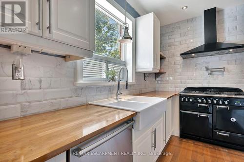 167 William Street, Brant, ON - Indoor Photo Showing Kitchen With Double Sink With Upgraded Kitchen