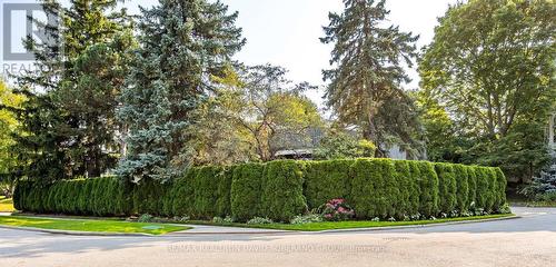 65 Blue Forest Drive, Toronto (Bathurst Manor), ON - Outdoor