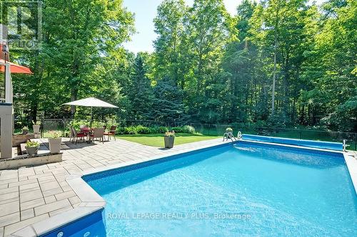 3136 Limestone Road, Milton, ON - Outdoor With In Ground Pool With Backyard