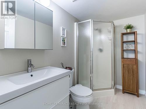 -21 - 2435 Woodward Avenue, Burlington (Brant), ON - Indoor Photo Showing Bathroom