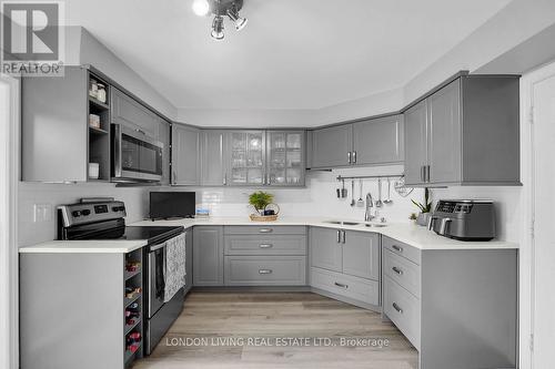 2 - 20 Kernohan Parkway, London, ON - Indoor Photo Showing Kitchen With Double Sink