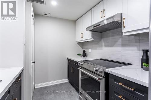 205 - 430 Pearl Street, Burlington (Brant), ON - Indoor Photo Showing Kitchen