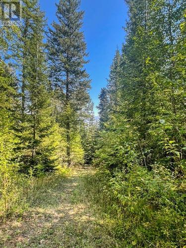 Lot 4 Evans Road, Creston, BC 