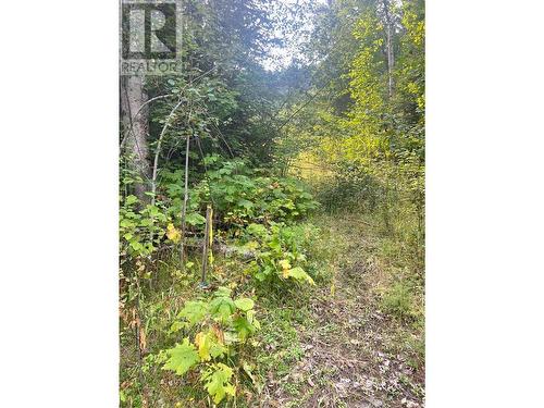 Lot 4 Evans Road, Creston, BC 