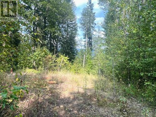 Lot 4 Evans Road, Creston, BC 