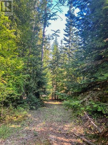 Lot 4 Evans Road, Creston, BC 