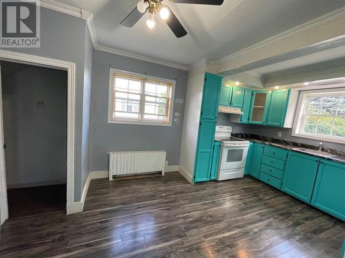 4 Haig Road, Grand Falls-Windsor, NL - Indoor Photo Showing Kitchen